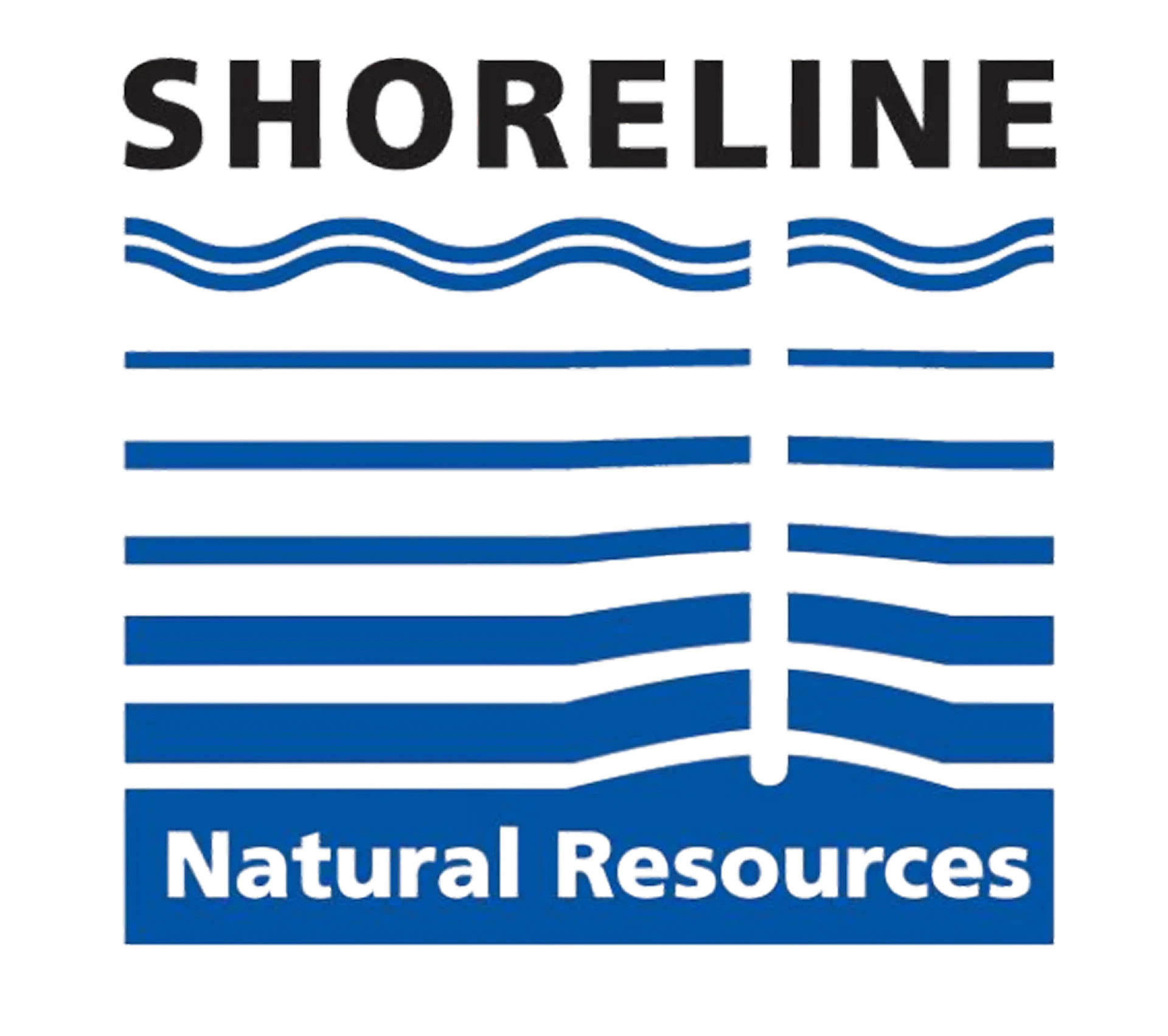 Shoreline
